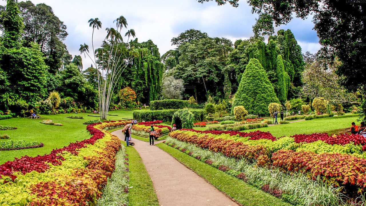 Recorrido por la ciudad de Kandy desde Beruwala