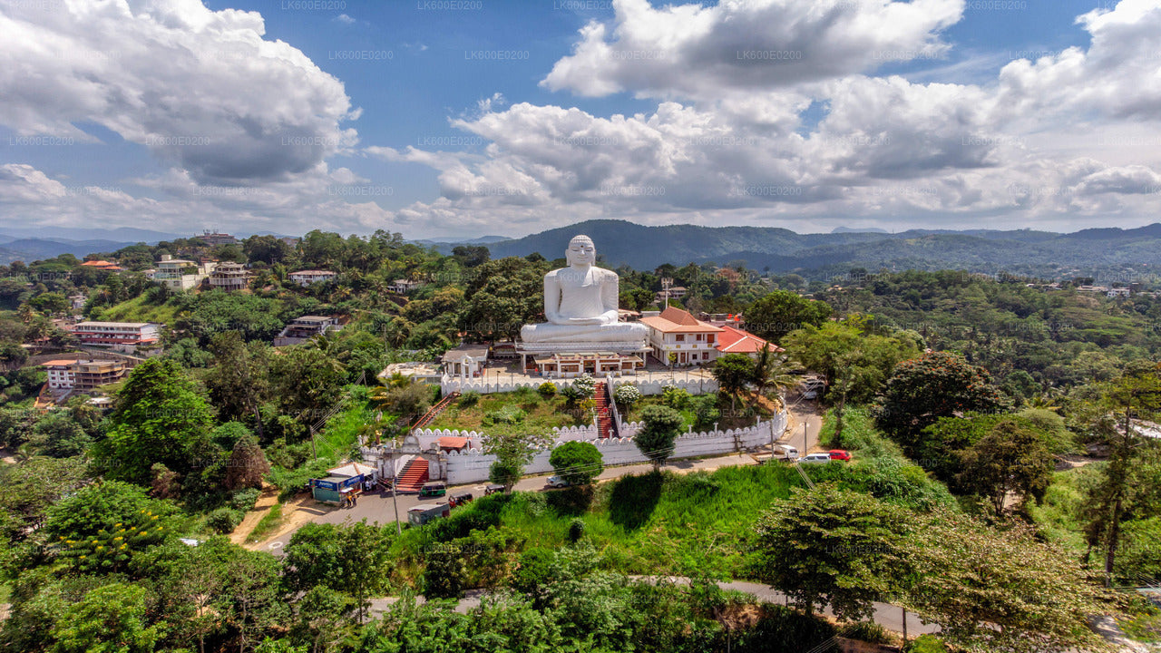 Recorrido por la ciudad de Kandy desde Beruwala