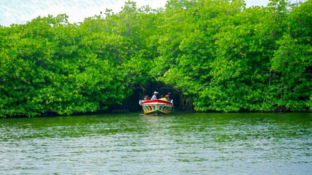Visita a la ciudad de Bentota y Galle desde Beruwala