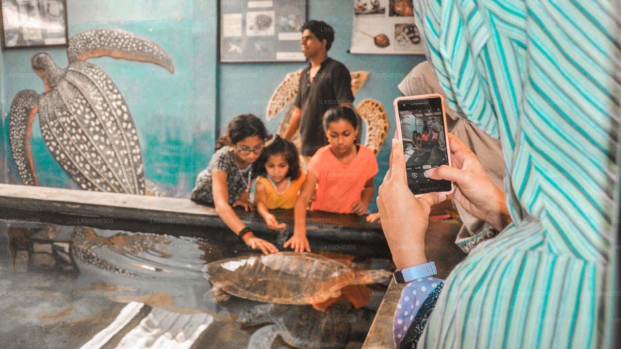 Handungoda, Galle y Kosgoda desde Colombo