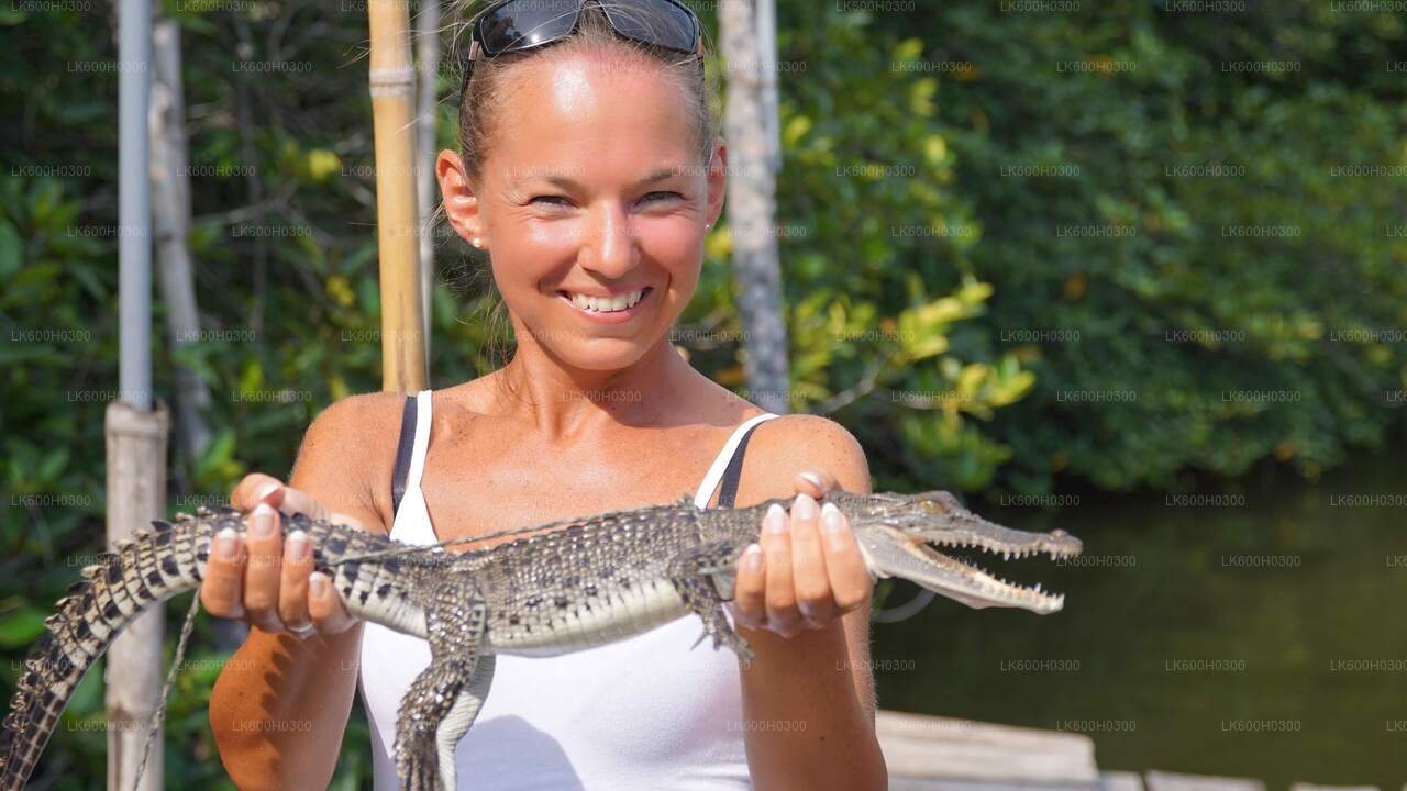 Viaje costero a Galle desde Colombo