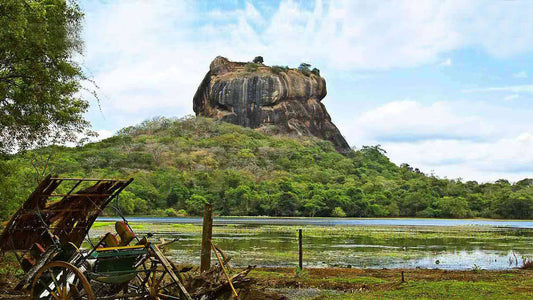 Sigiriya y Dambulla desde Colombo
