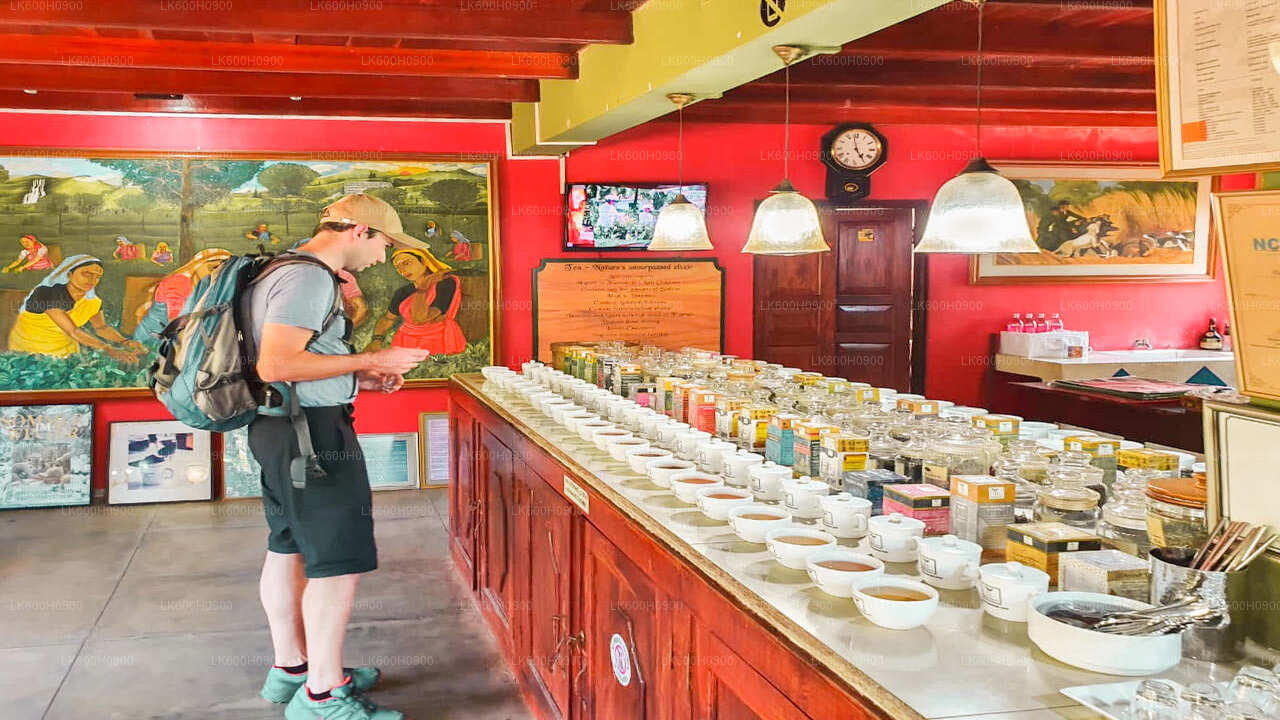 Lo más destacado de la costa sur desde Colombo