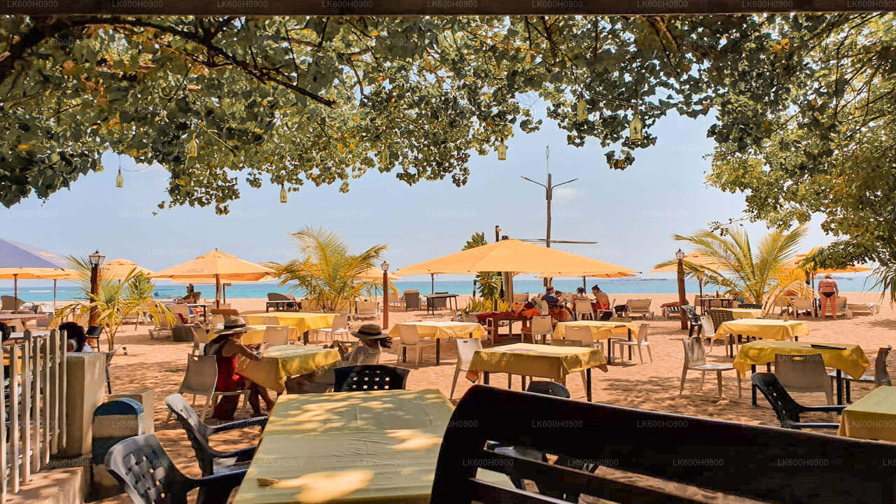 Lo más destacado de la costa sur desde Colombo