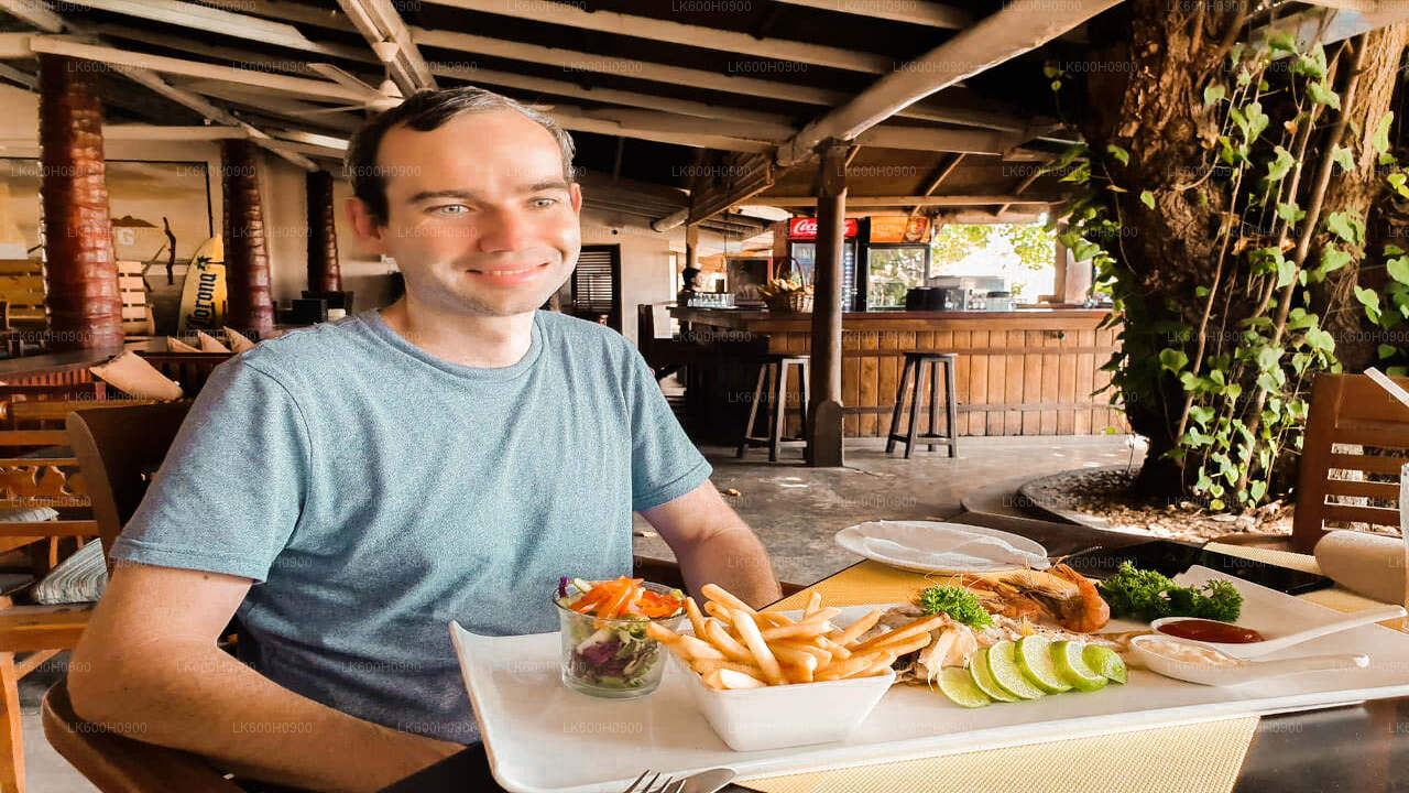 Lo más destacado de la costa sur desde Colombo