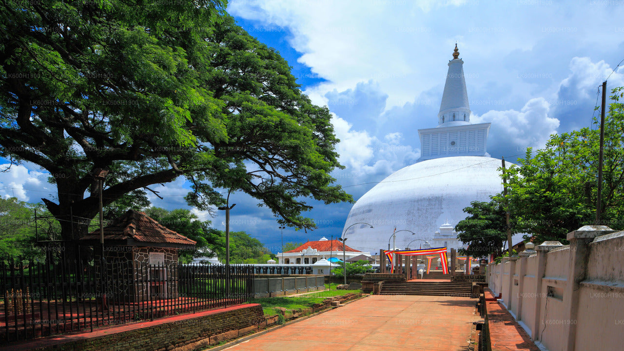 Ciudad sagrada de Anuradhapura desde Colombo