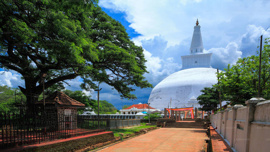 Ciudad sagrada de Anuradhapura desde Colombo