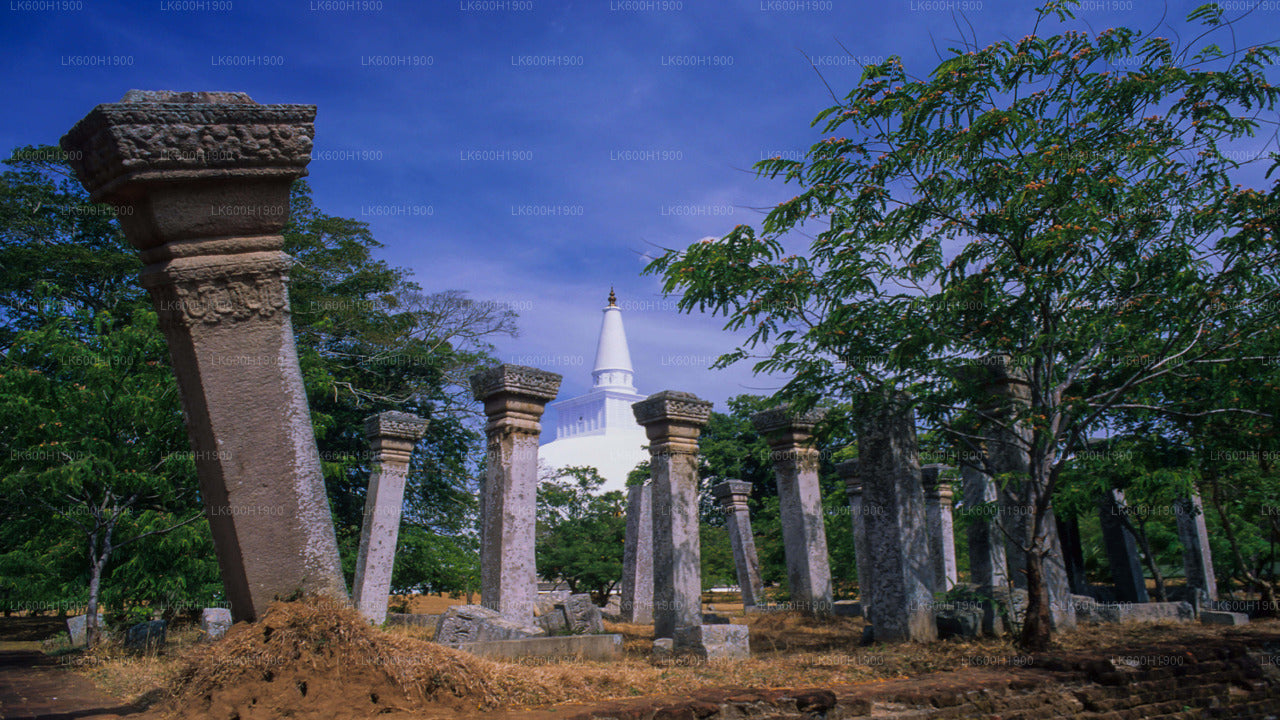 Ciudad sagrada de Anuradhapura desde Colombo