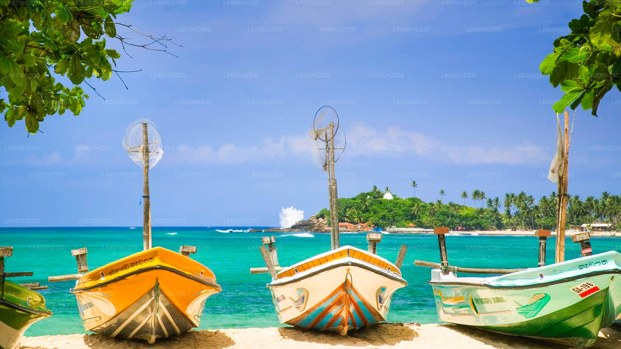 Recorrido por la ciudad de Negombo desde Colombo