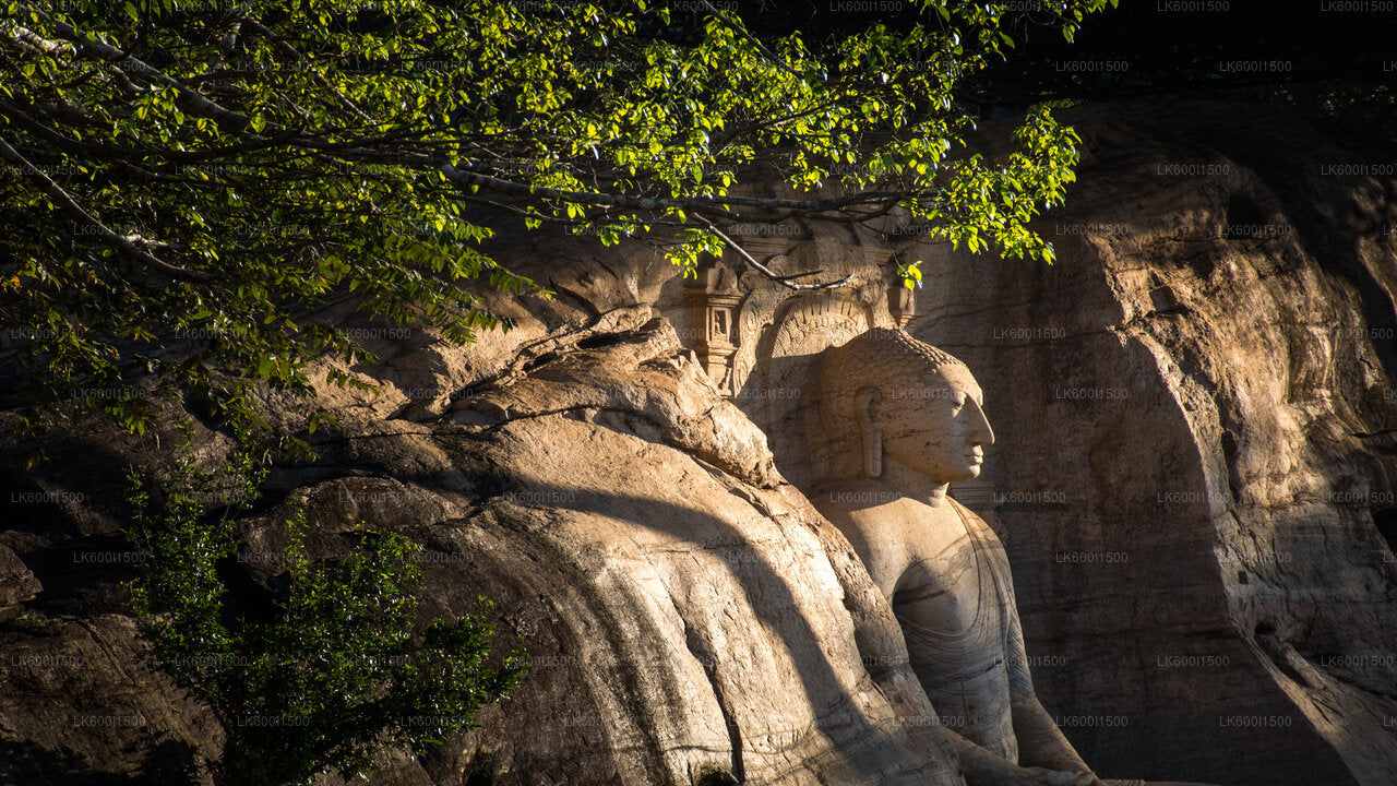 Safari en elefante salvaje y reino antiguo de Polonnaruwa desde Dambulla