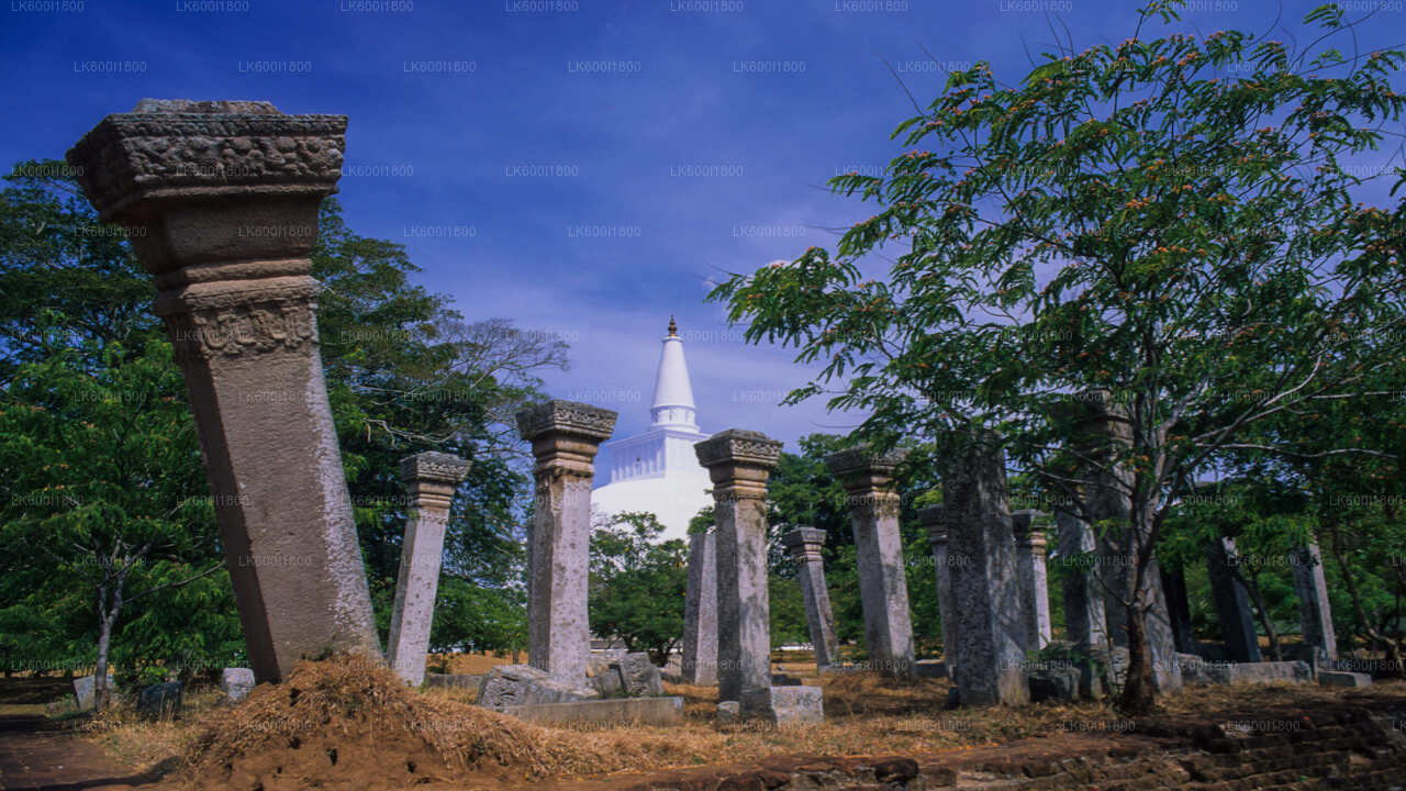 Recorrido por los iconos budistas de Anuradhapura desde Dambulla