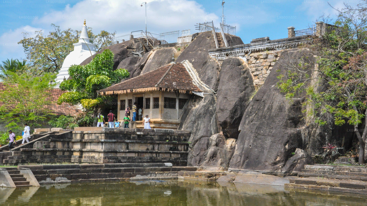 Recorrido por los iconos budistas de Anuradhapura desde Dambulla