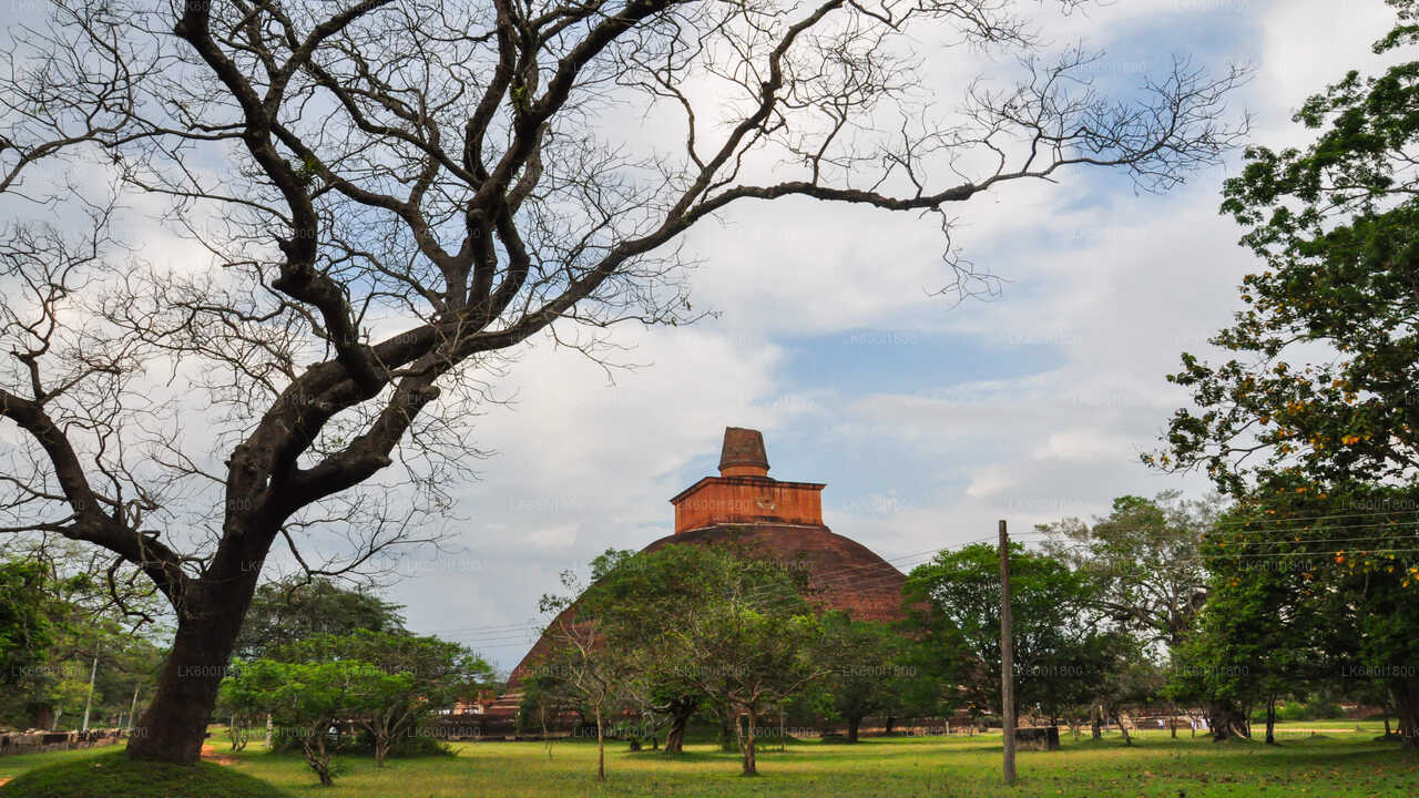Recorrido por los iconos budistas de Anuradhapura desde Dambulla