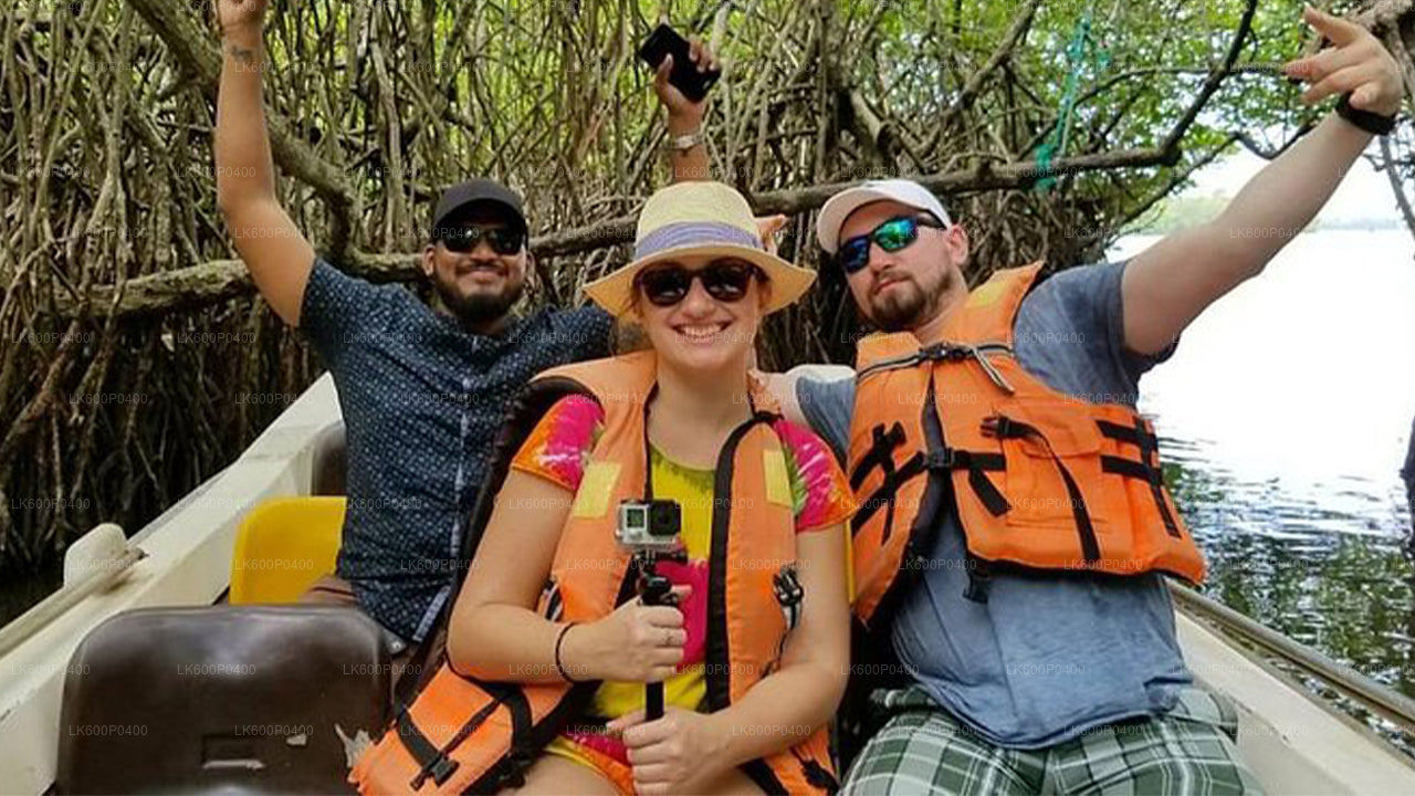 Excursión a la ciudad de Bentota desde Galle