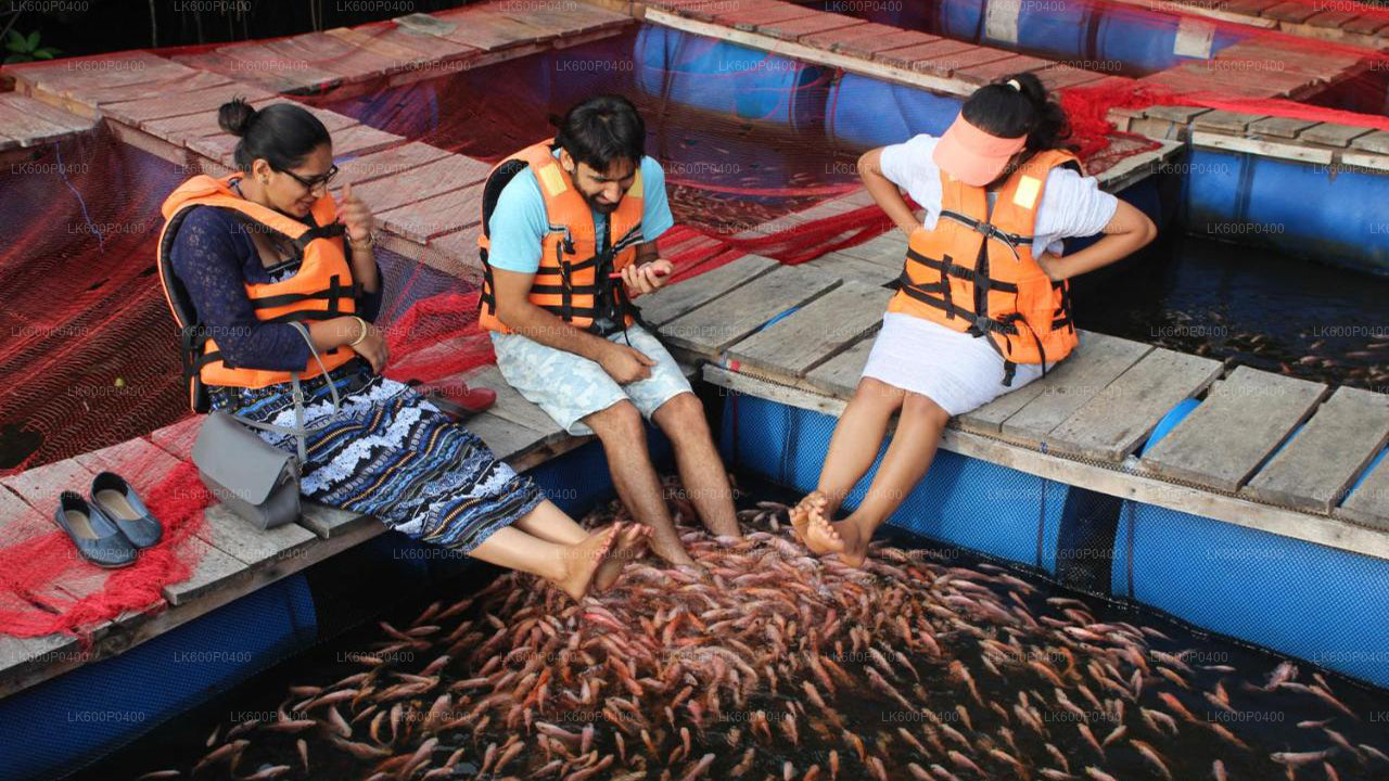 Excursión a la ciudad de Bentota desde Galle