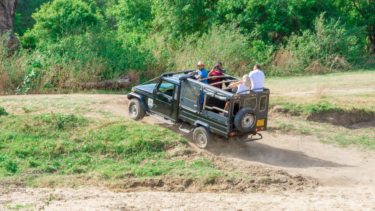 Safari por la roca de Sigiriya y elefantes salvajes desde Habarana