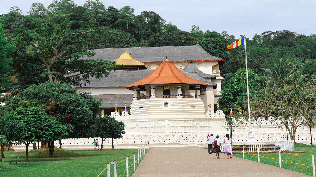 Recorrido por la ciudad de Kandy desde Hikkaduwa