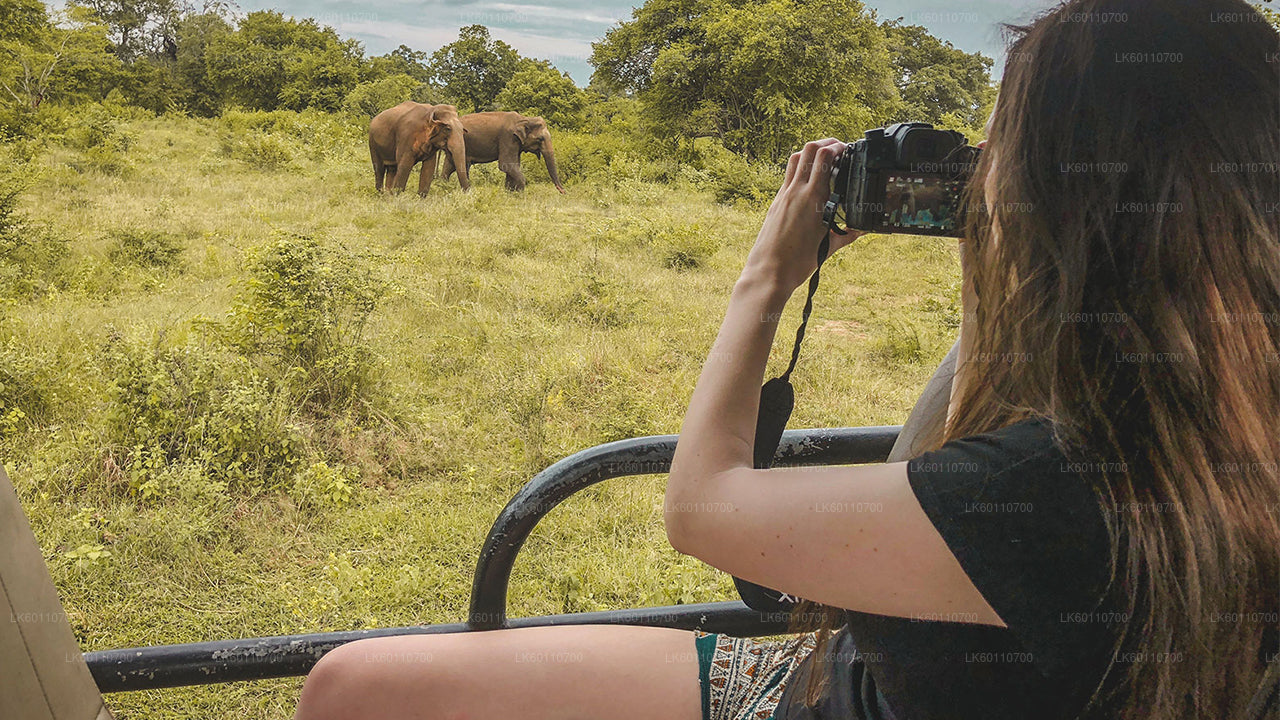 Safari en el Parque Nacional de Udawalawe desde Hikkaduwa