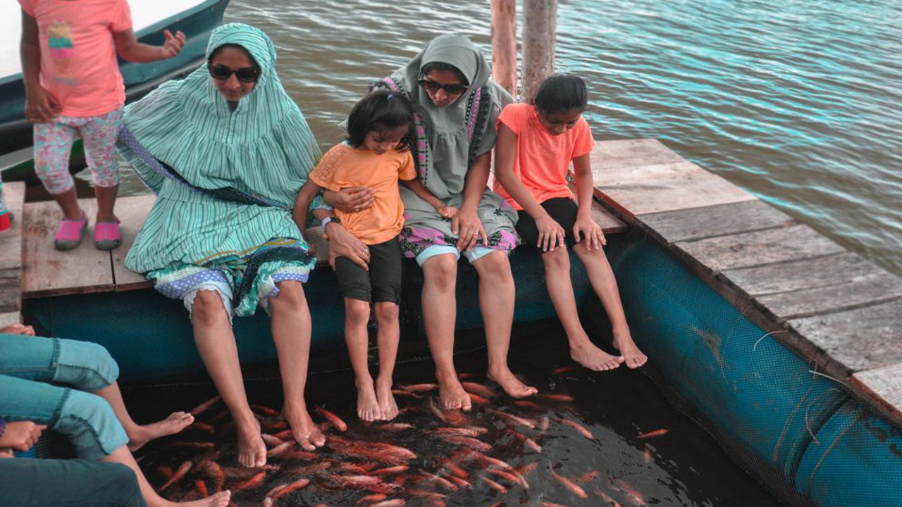 Balapitiya, Handunugoda y Galle de Bentota