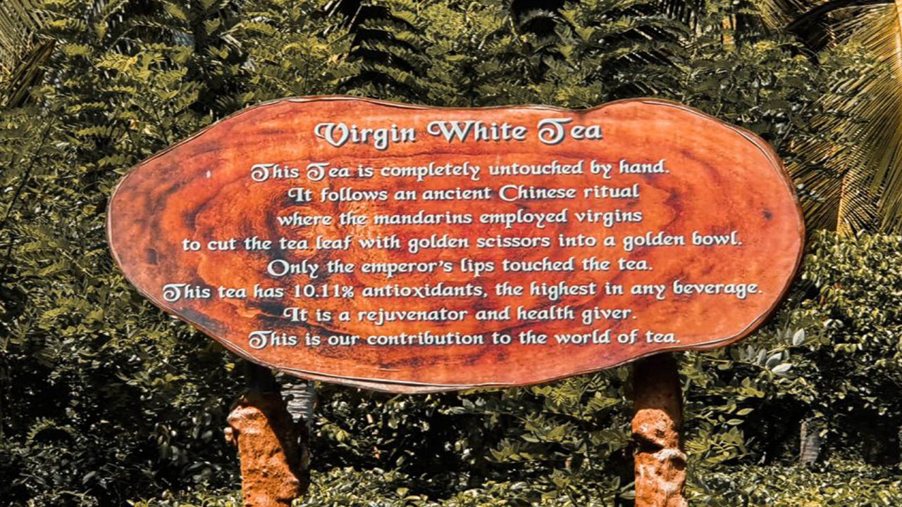 Balapitiya, Handunugoda y Galle de Bentota