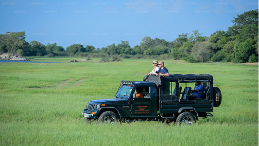Safari en el Parque Nacional de Udawalawe desde Tangalle