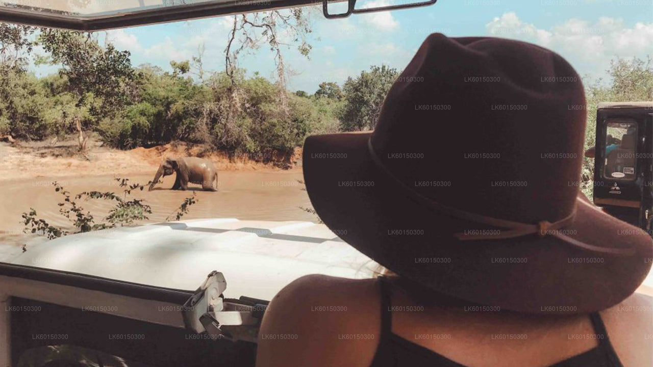 Safari en el Parque Nacional de Yala desde Tangalle