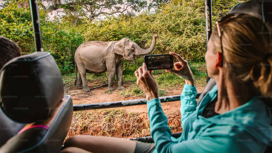 Safari en el Parque Nacional de Yala desde Tangalle