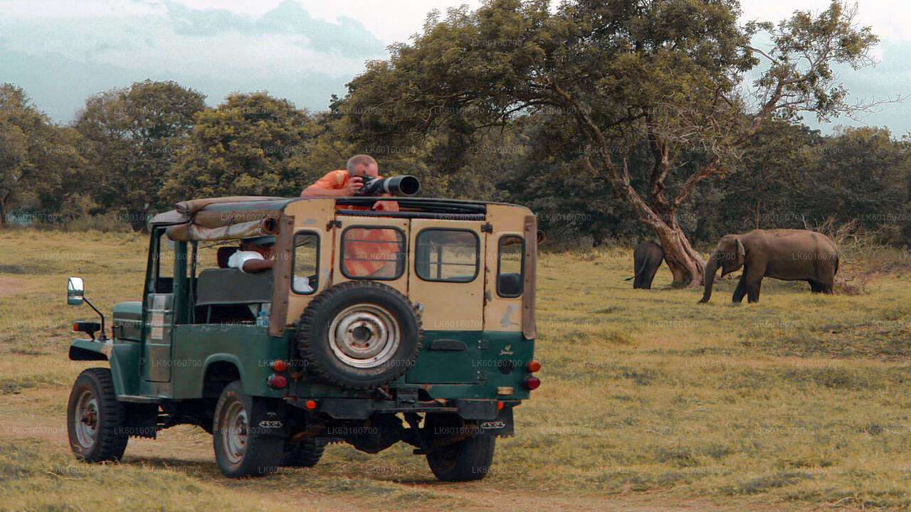 Safari por el Parque Nacional Udawalawe desde Kalutara