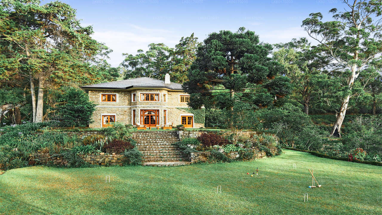 Tierras altas de Nuwara Eliya desde Kandy