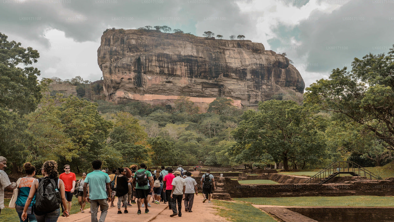 Sigiriya og Dambulla fra Kandy