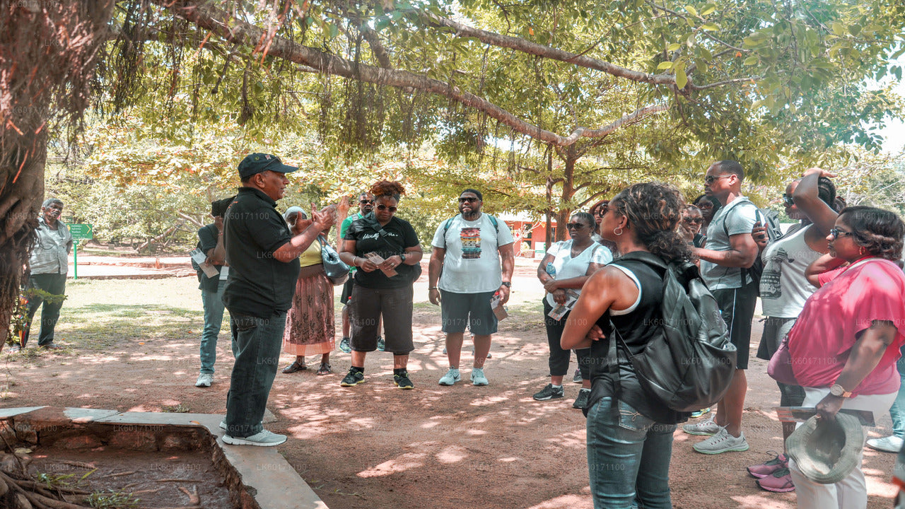 Sigiriya og Dambulla fra Kandy