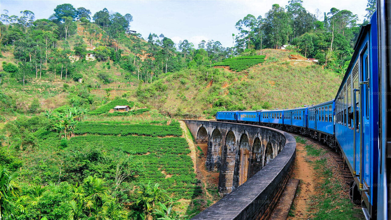 Viaje panorámico en tren a Ella desde Kandy