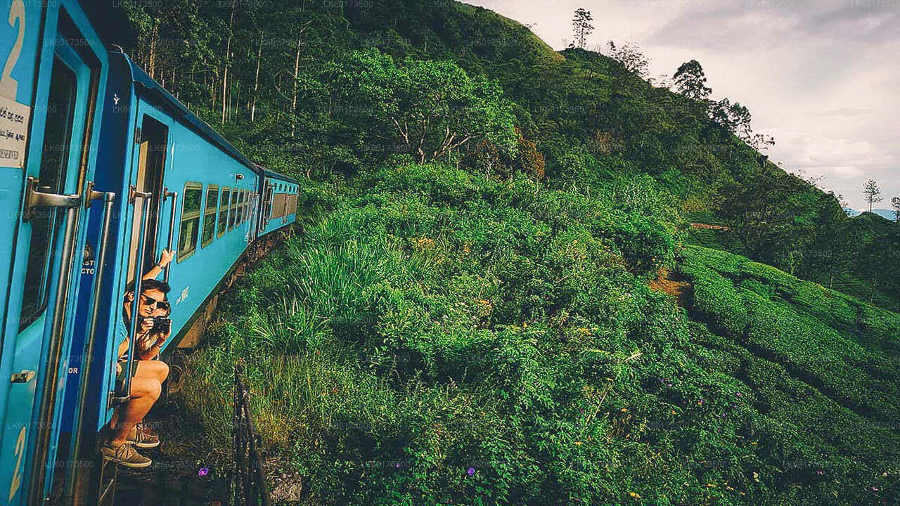 Viaje panorámico en tren a Ella desde Kandy