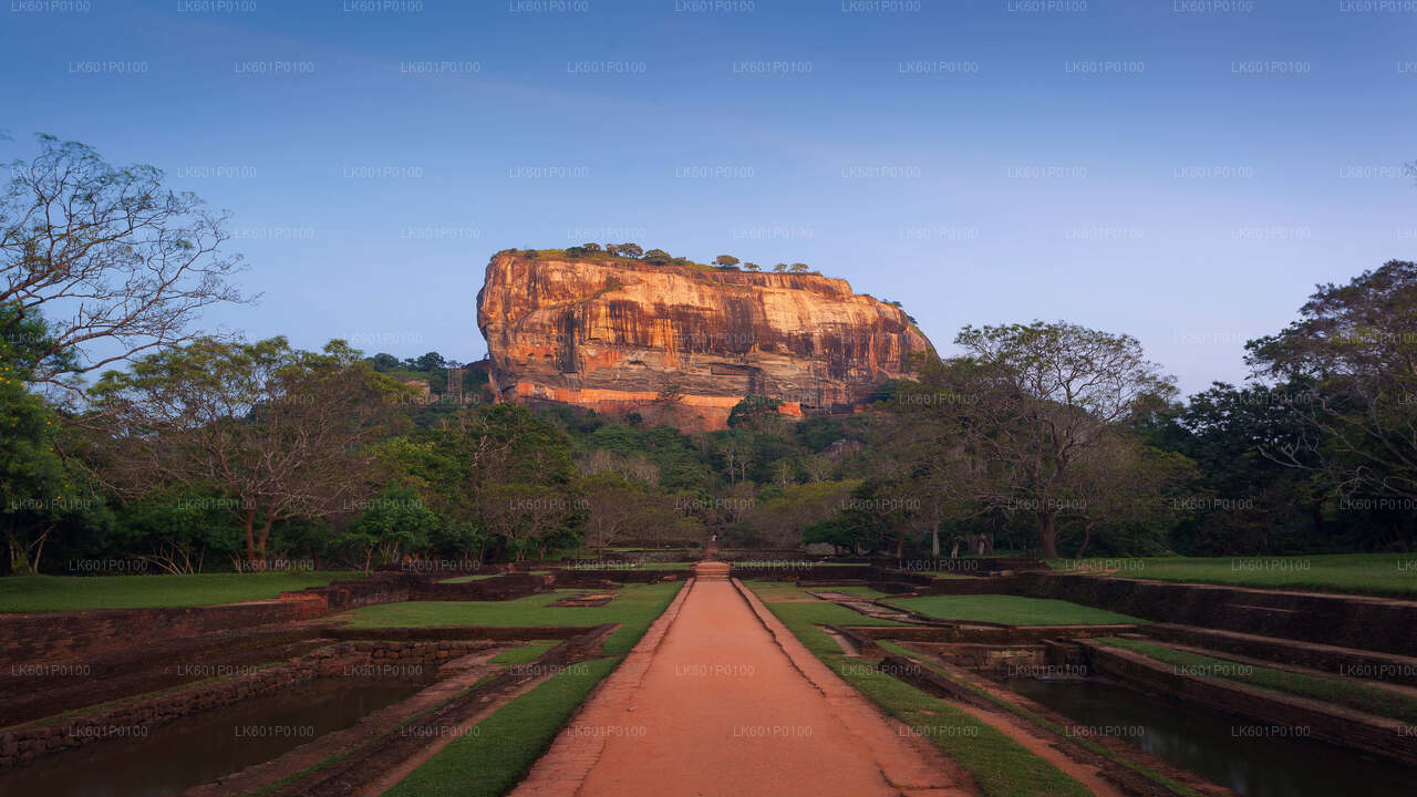 Sigiriya y Dambulla desde Negombo