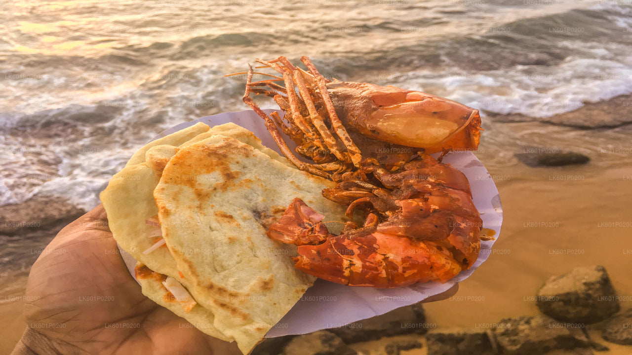 Excursión a la ciudad de Colombo desde