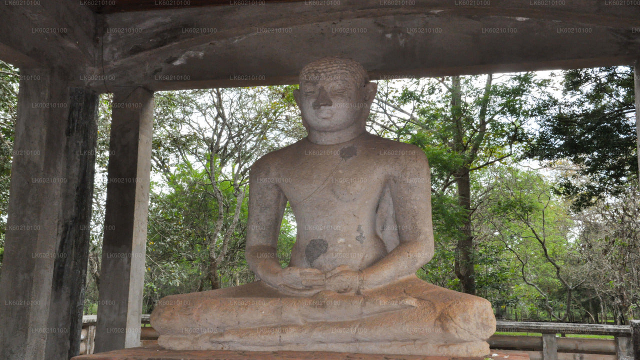 Ciudad sagrada de Anuradhapura desde Sigiriya