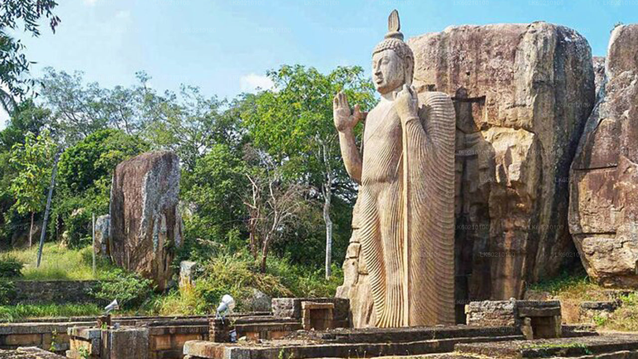 Ciudad sagrada de Anuradhapura desde Sigiriya
