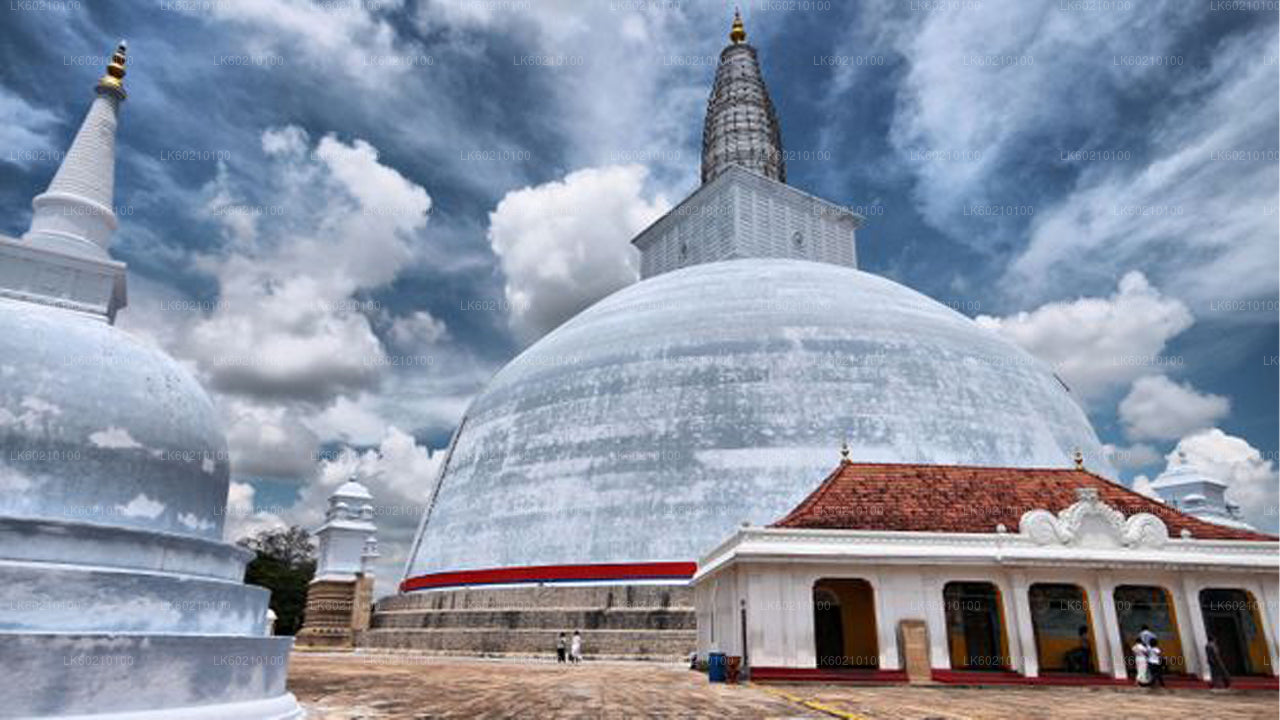 Ciudad sagrada de Anuradhapura desde Sigiriya