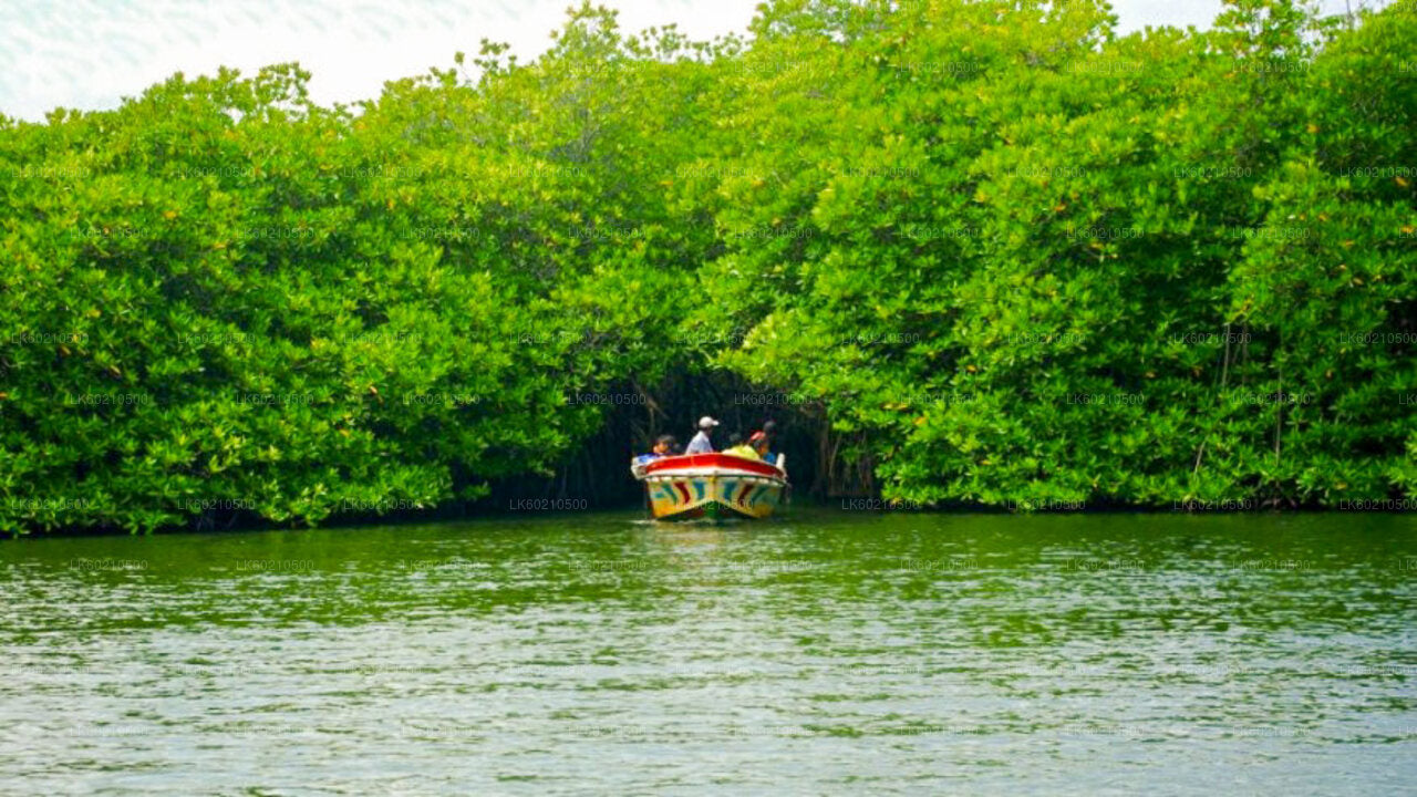 Recorrido por la ciudad de Bentota desde Tangalle