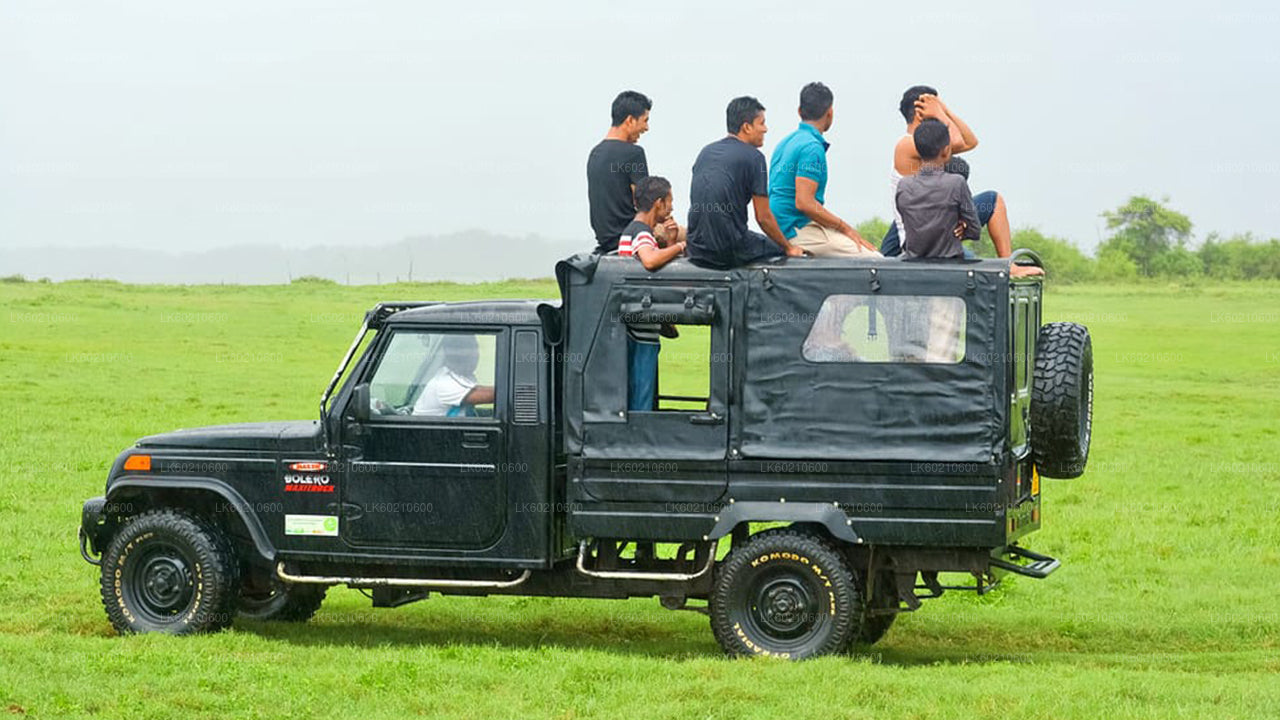 Safari por el Parque Nacional Bundala desde Tangalle