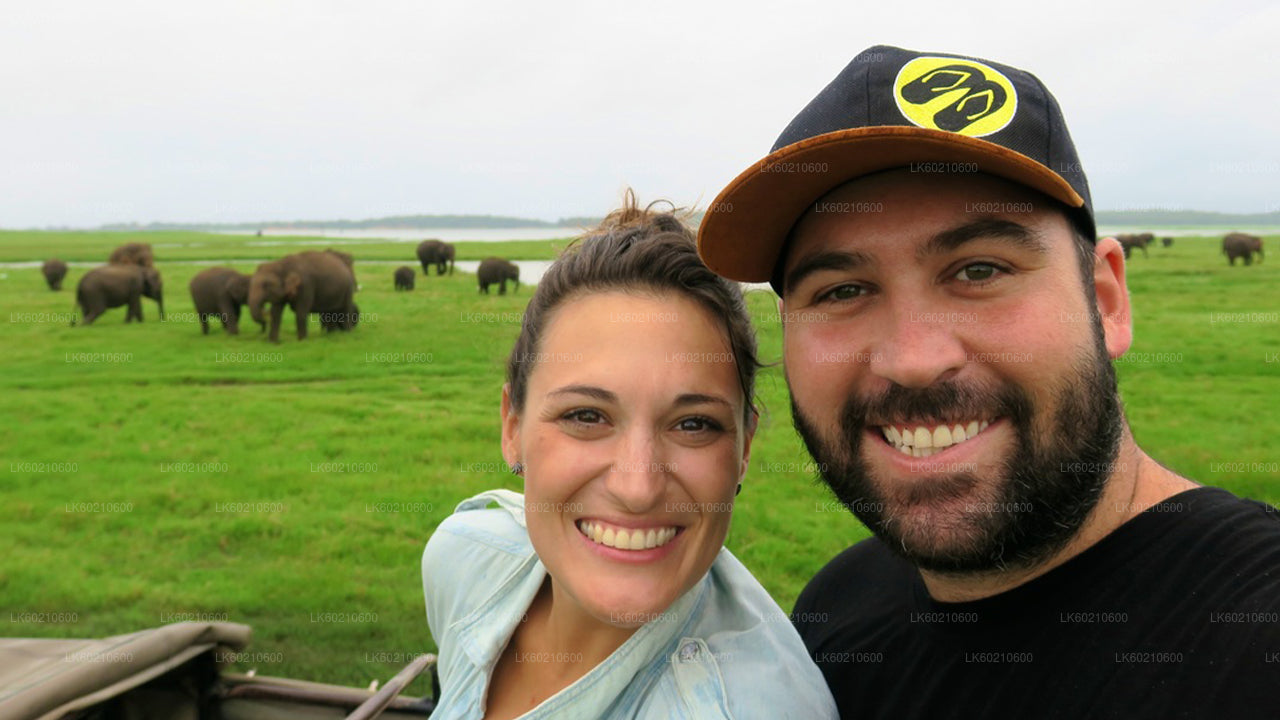 Safari por el Parque Nacional Bundala desde Tangalle