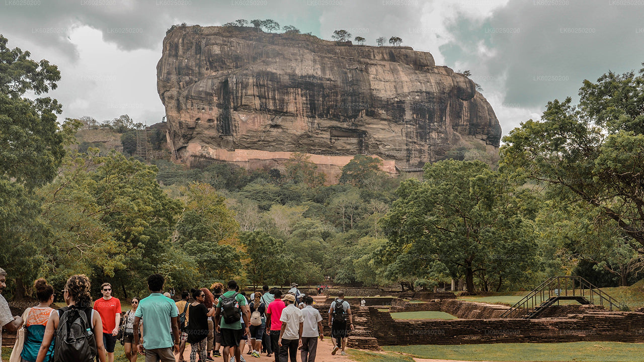 Safari en la roca de Sigiriya y elefantes salvajes desde Pasikuda