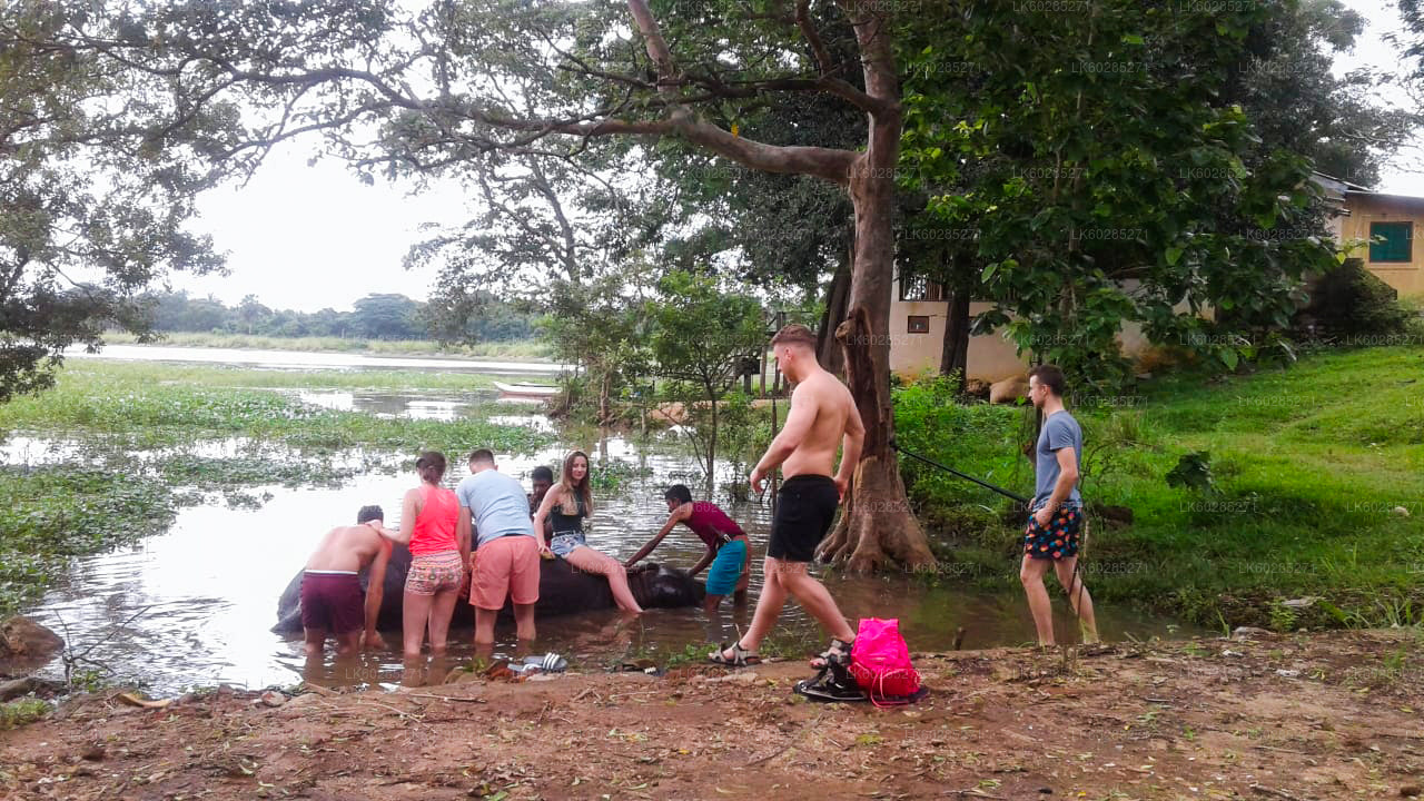Safari a lomos de elefante desde Habarana