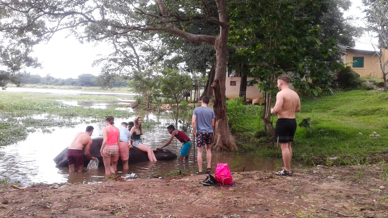Safari a lomos de elefante desde Habarana