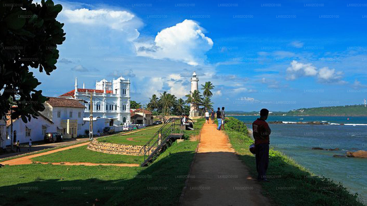 Lo más destacado de la costa sur desde la ciudad de Weligama