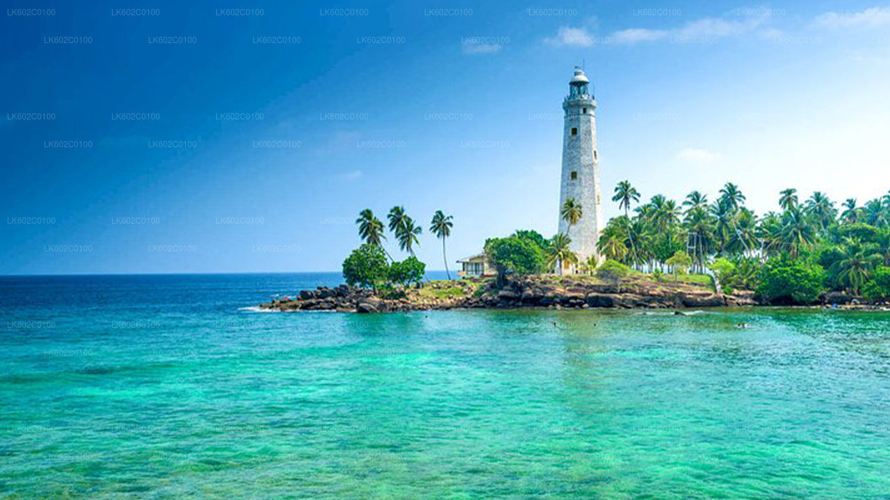 Lo más destacado de la costa sur desde la ciudad de Weligama