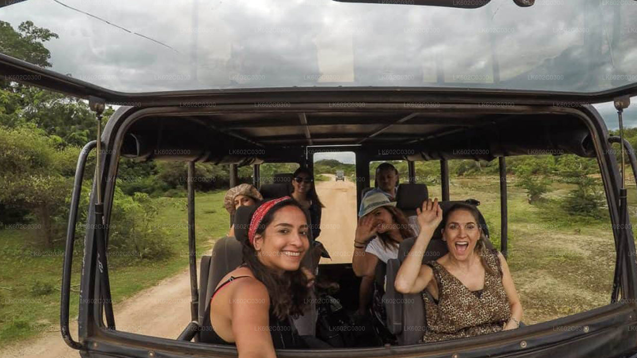 Safari en el Parque Nacional de Yala desde Weligama