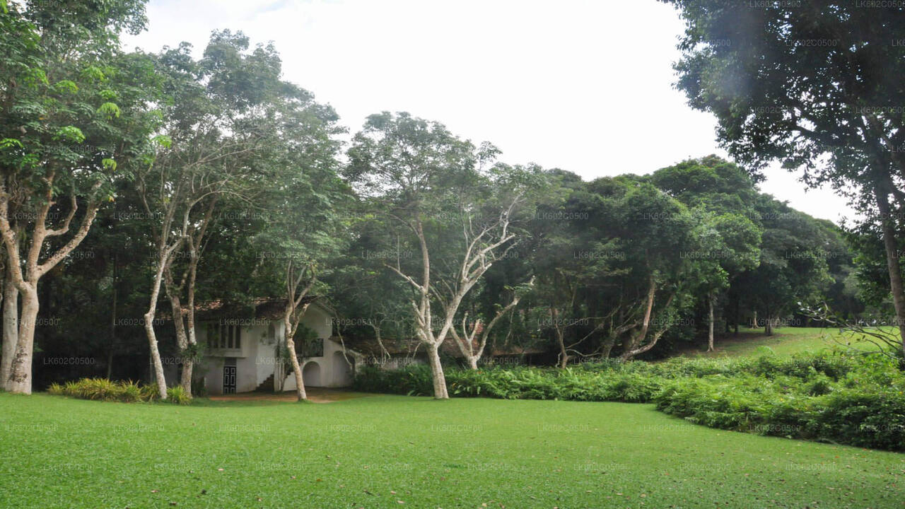 Recorrido por la ciudad de Bentota desde Weligama