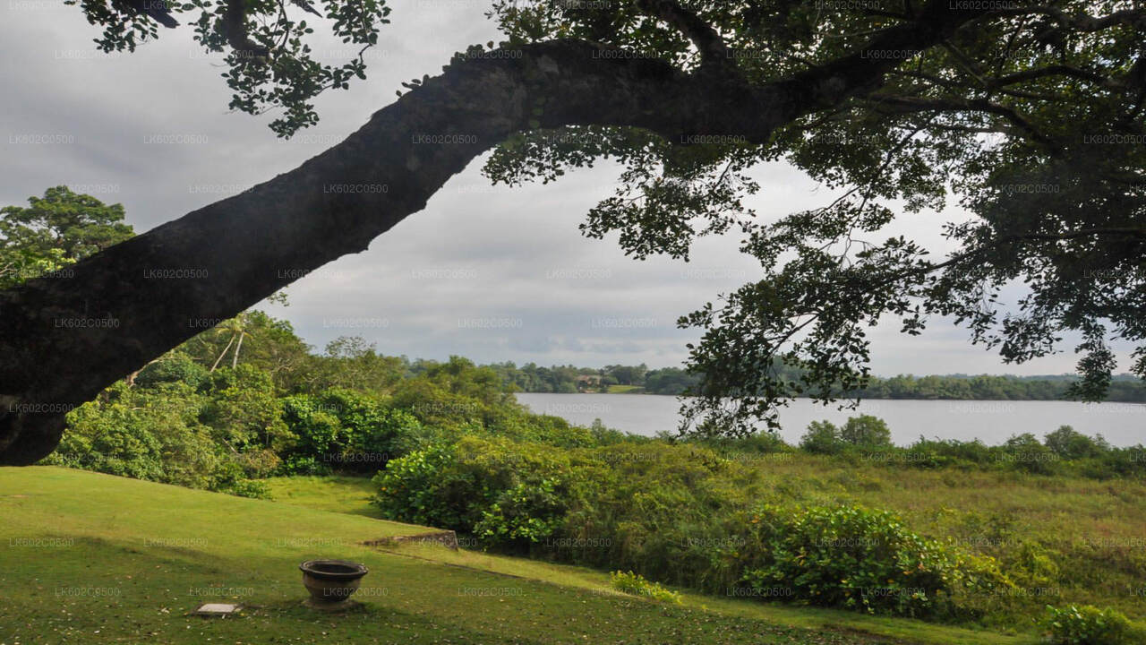 Recorrido por la ciudad de Bentota desde Weligama