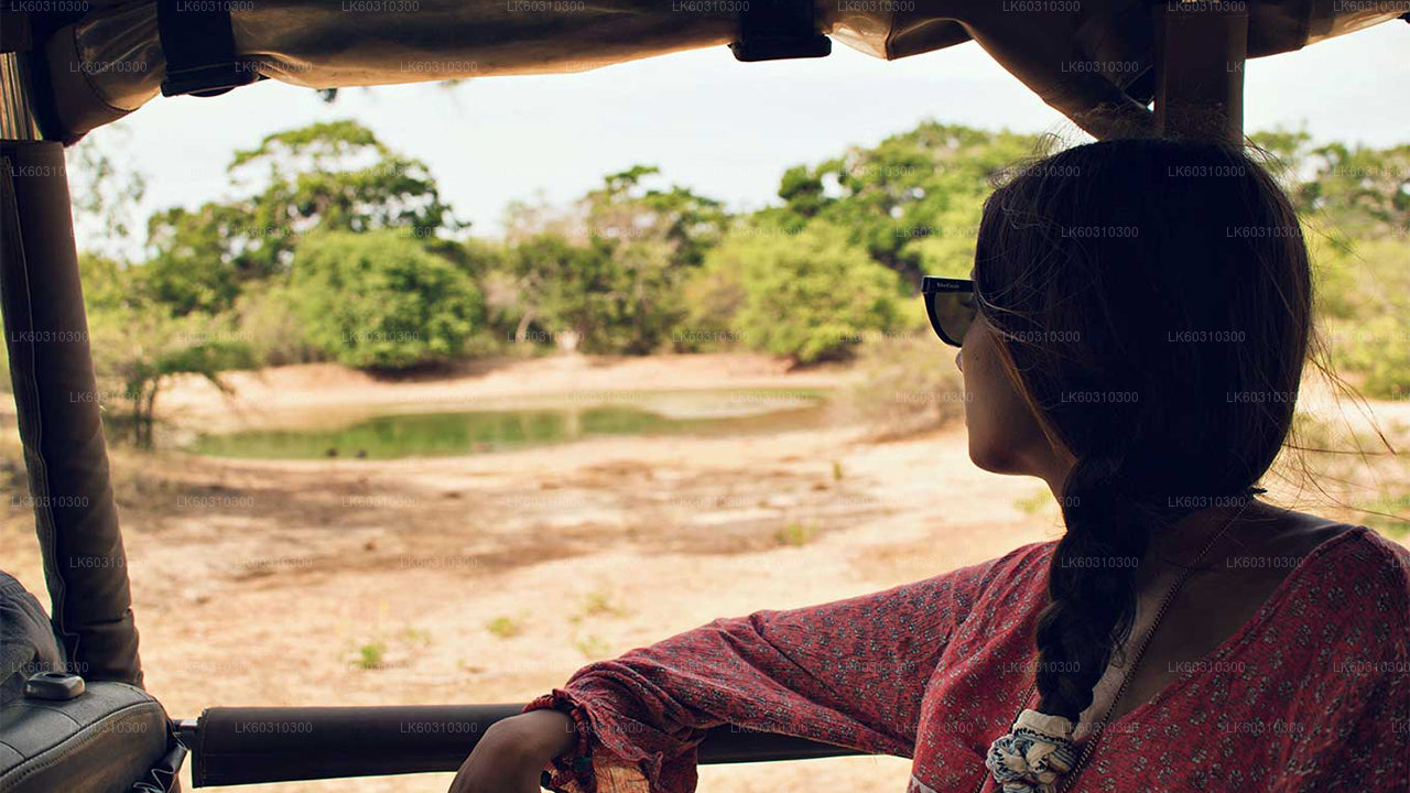 Safari por el Parque Nacional Yala desde Ahangama